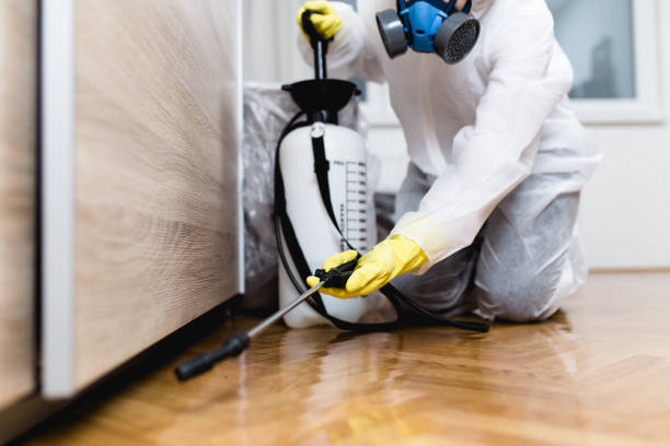Best Pest Inspection Near Me  in Villisca, IA