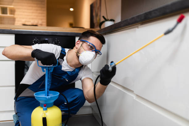 Best Bed Bug Extermination  in Villisca, IA