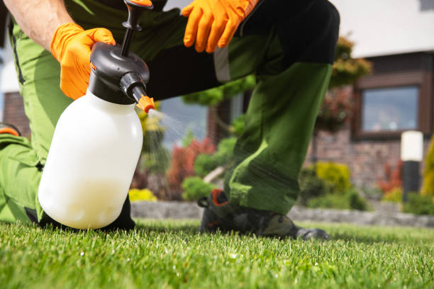 Best Local Pest Control Services  in Villisca, IA