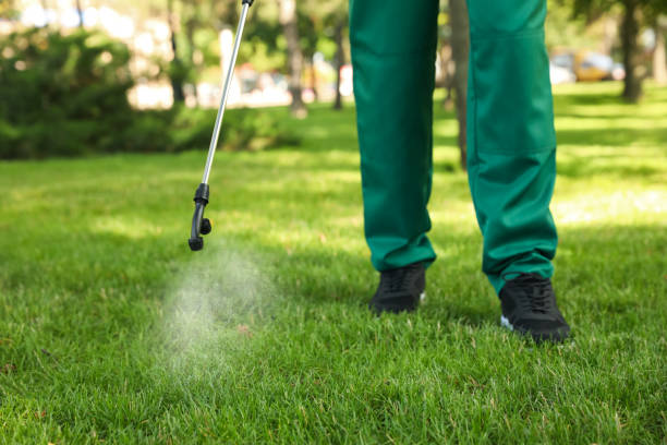 Best Residential Pest Control  in Villisca, IA