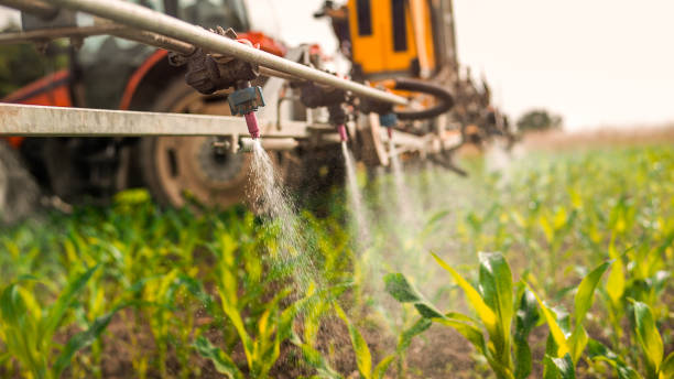 Best Pest Prevention Services  in Villisca, IA